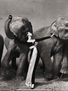 Richard Avedon